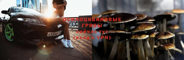 трава Бородино