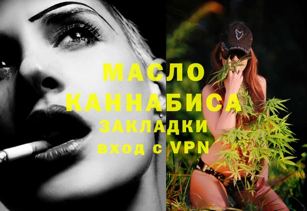гашик Няндома
