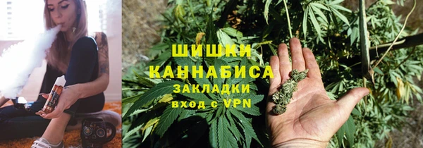 трава Бородино